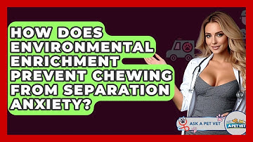 How Does Environmental Enrichment Prevent Chewing From Separation Anxiety? - Ask A Pet Vet