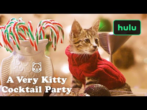 holiday-scenics:-a-very-kitty-cocktail-party-•-home-is-where-the-hulu-is