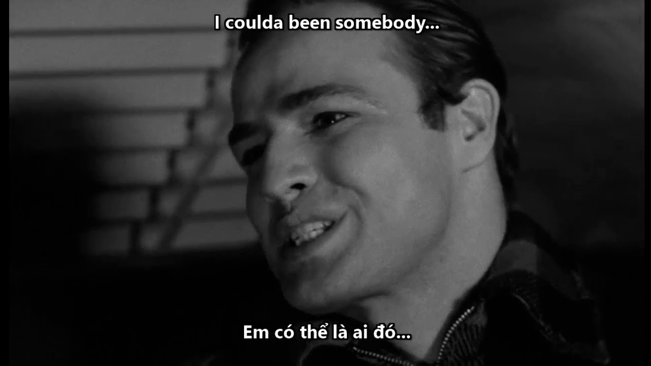 [Vietsub - Engsub] On The Waterfront (1954): I Coulda' Been a Contender ...