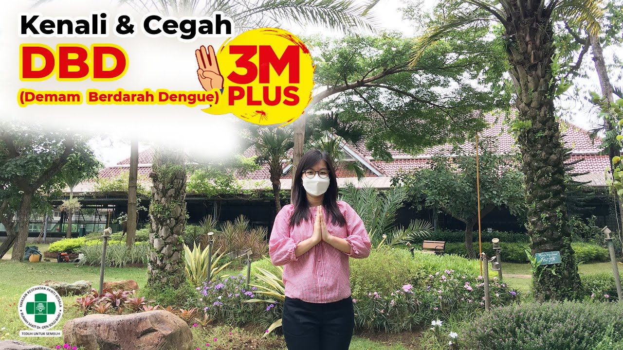 Kenali dan Cegah Demam Berdarah Dengue dengan 3M PLUS - YouTube