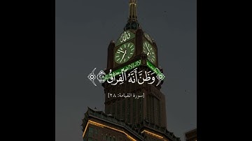 قران كريم راحه نفسيه سوره القيامه