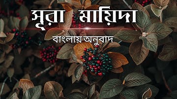 5-মায়িদা বাংলায় অনুবাদ-( The Table spread with Food )-سورة المائدة (Al-maidah translated in bangla)