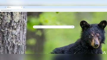 search.saveturtletab.com Browser Hijacker | How to Remove search.saveturtletab.com Redirect Virus?