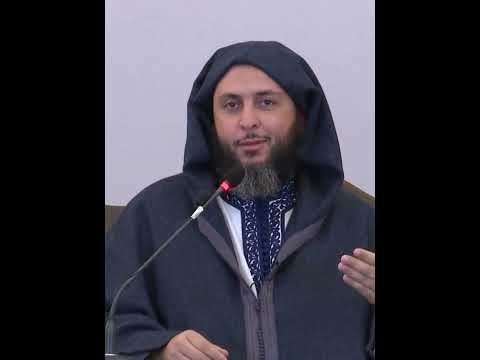 هدهد سليمان عليه السلام سعيد الكملي