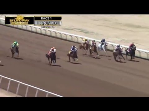 Blue Ribbon in Cosmopolitan Casino Vegas. #rackoflamb #lamb #shorts #viral #shorts #fyp