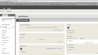 Blackboard glitch