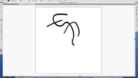 Blob Brush Tool in Adobe Illustrator