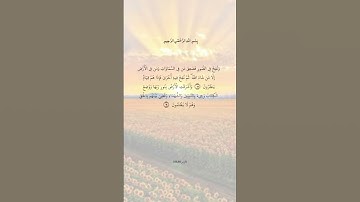 القارىء مشاري العفاسي، ماتيسر من سورة الزمر .