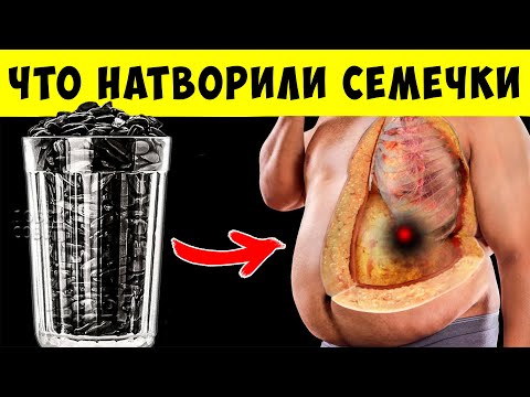 ЕЛ СЕМЕНА ПОДСОЛНЕЧНИКА каждый день и Вот что произошло с моим Телом...