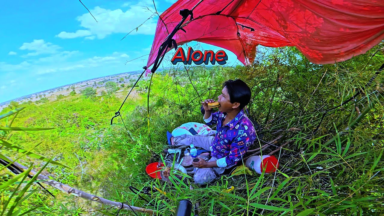 Alone Camping On The Bamboo Tree With Cooking, Eat Cake And Enjoy The View.
