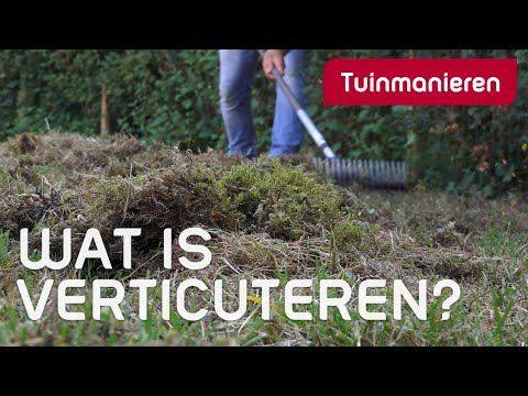 Video: Wat beteken HUD-vertoning?