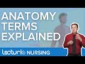 Anatomy Basics Quiz