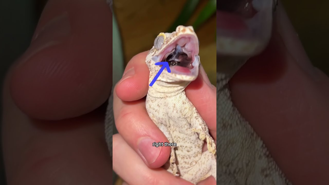 A Very Close Call