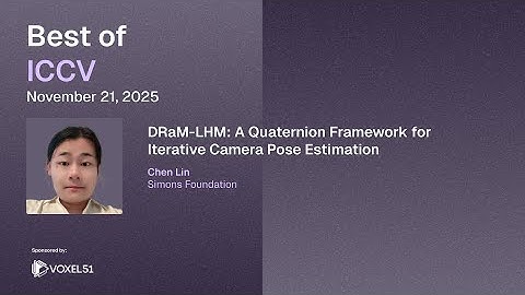 DRaM-LHM: A Quaternion Framework for Iterative Camera Pose Estimation