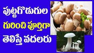 ప ట టగ డ గ ల గ ర చ ప ర త గ త ల స త వదల