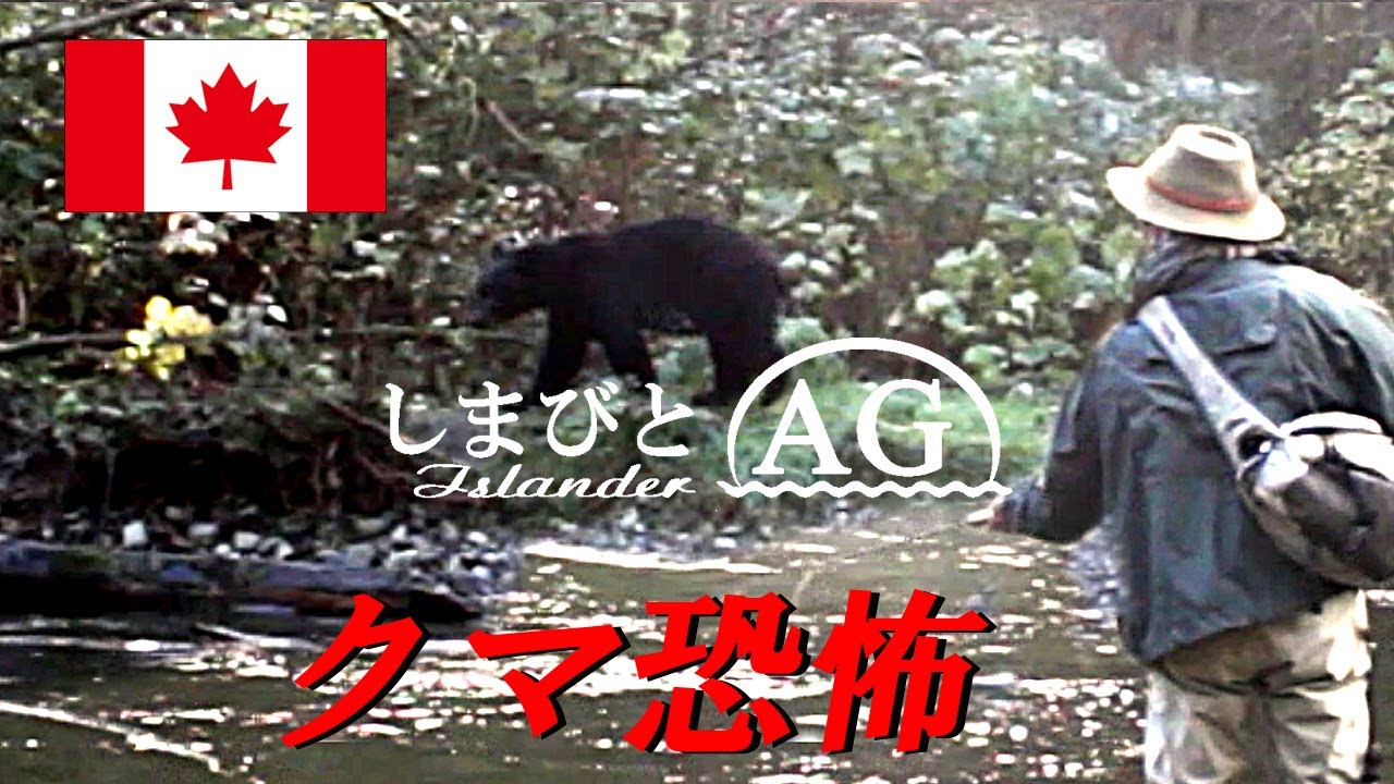 【カナダ 田舎暮らし】危険！【熊遭遇】クマと一緒に鮭釣り、フライフィッシングで訪れた釣り場は、ブラックベアーの漁場だった。| 5番ロッドで闘うキングサーモン |  鮭釣り、フライフィッシング 40