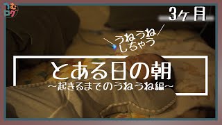 ノーカット うねうねうねうね赤ちゃんが起きるまでに密着 とある日の朝に生後3ヶ月の赤ちゃんの様子 寝起きで寝ぼけているのかもぞもぞうねうねが可愛すぎ Vlog01 Youtube ノーカット うねうねうねうね赤ちゃんが起きるまでに密着 とある日の朝に生後3ヶ月の赤ちゃんの様子 寝起きで寝ぼけているのかもぞもぞうねうねが可愛すぎ Vlog01 Youtube