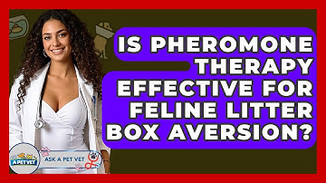 Is Pheromone Therapy Effective For Feline Litter Box Aversion? - Ask A Pet Vet