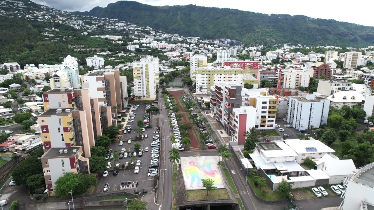 DJI AIR 2S- Camélias.RE