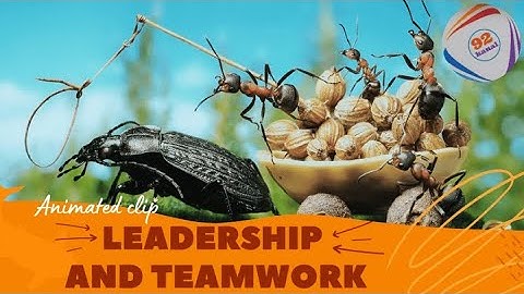 Teamwork and Leadership  Animated short clip #teamwork #leadership #motivation
