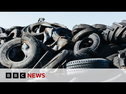 BBC News