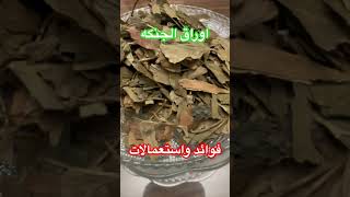 اوراق شجره الجنكه