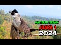 MP3 Suara Burung Kutilang Gacor MengGaruda Paling Top Buat Masteran Kutilang Dan Pikat