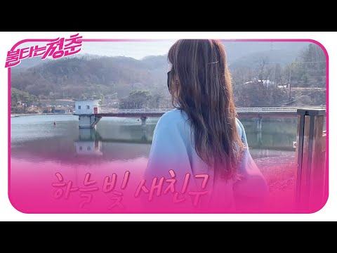 ㅣ불타는 청춘(Young <strong>Fire</strong>)ㅣSBS <strong>ENTER</strong>.