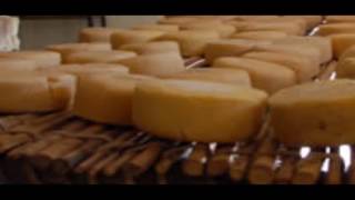 Quesera artesanal - Fabrica de queso casero, negocio local que le encanta al turista