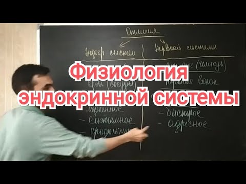 Физиология эндокринной системы. Общая характеристика.. Классификация гормонов.