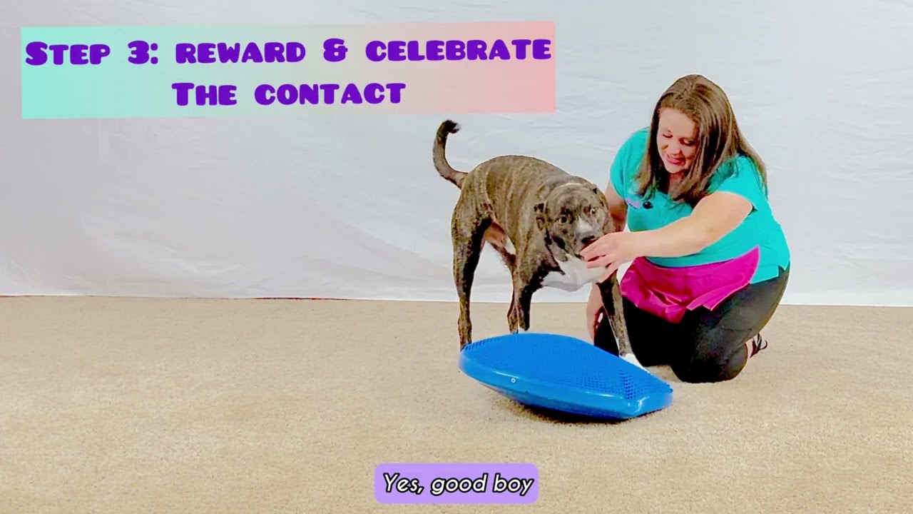 How to Use Pivot Bowls in Dog Training | Improve Leash Pivots & Engagement