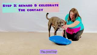 How to Use Pivot Bowls in Dog Training | Improve Leash Pivots & Engagement