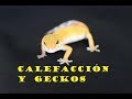 Calefacción y geckos