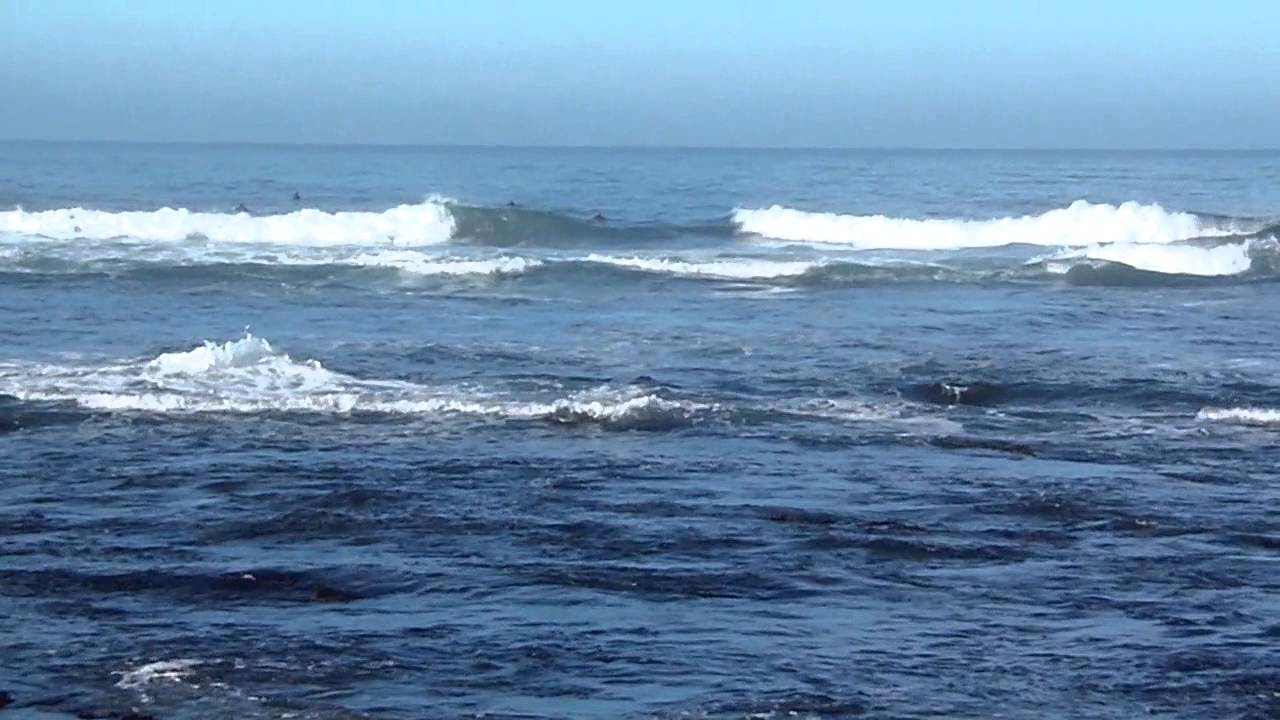 Greyhound Rock Surfers 2