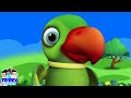 Main tota     gubbare wala  hindi nursery rhymes for children