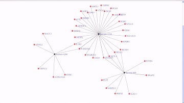 network label highlight