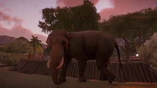 Planet Zoo: Indian Elephant
