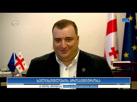 სახალხო დამცველის ანგარიში - რატი იონათამიშვილი \"დღის ქრონიკაში\"