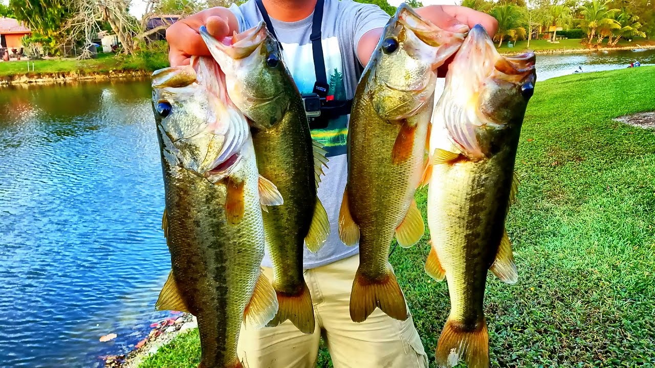 Non Stop Bass Fishing and Snakeheads! Jon Boat Pond Exploring!