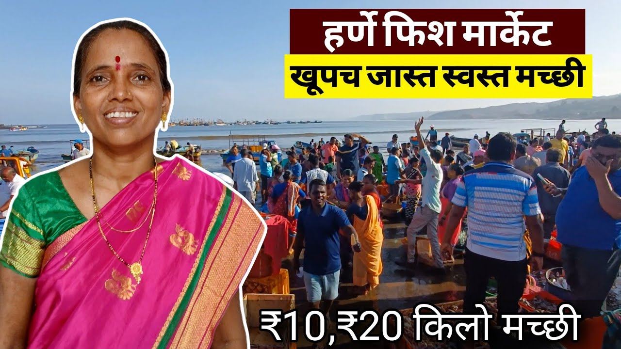 मोठ्या माशांचे लिलाव || Harnai Fish Market