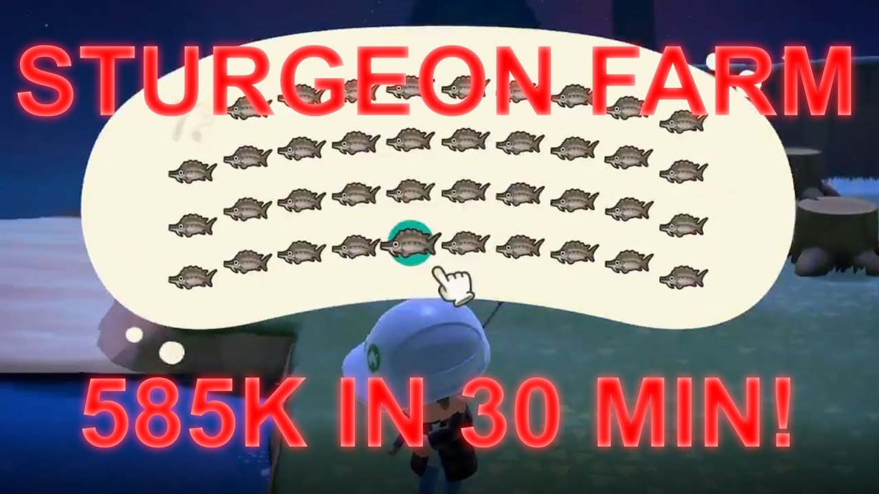 585K IN 30 MINUTES!! DIY Sturgeon Farm Animal Crossing New Horizons