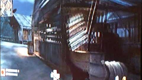 Cod 5 wii makin glitches