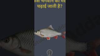 किस भगवान को मछली चढ़ाई जाती है #gk #gkinhindi #shortsfeed #shortvideo #shorts #short #gkshorts