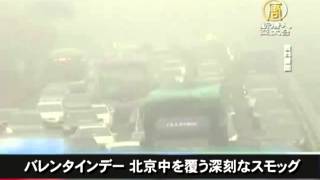 【中国１分間】上海の政界 近く激震が走るか 20150216