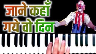 Jaane Kahan Gaye Wo Din | Harmonium | Sur Sangam | हारमोनियम बजाना