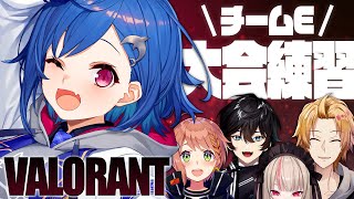 【 VALORANT 】チームEの皆さんと練習会だっ🐬【 にじさんじ/西園チグサ 】