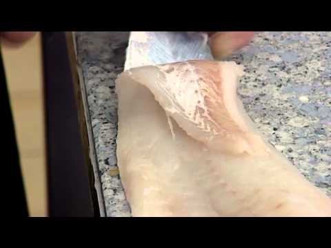 How to Skin an Atlantic Cod | 407