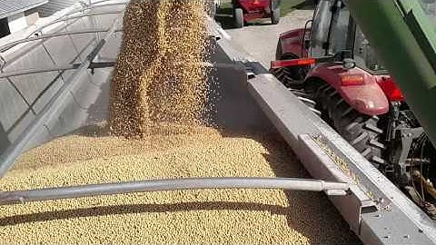 Case MX235 unloading soybeans