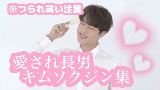 【BTS 日本語字幕】愛され長男キムソクジン🐹💜