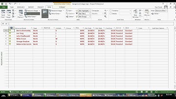 Navigating in Microsoft Project (Part 6)